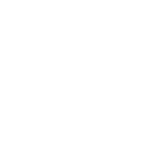 DataPro + logo
